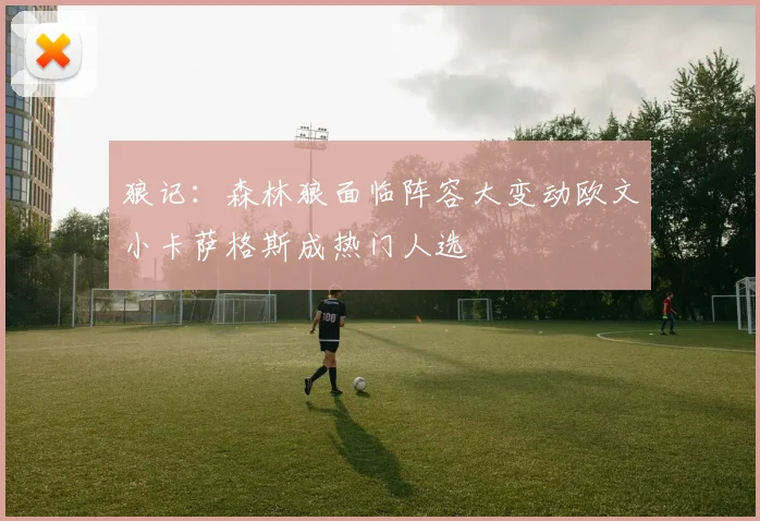 狼记：森林狼面临阵容大变动欧文小卡萨格斯成热门人选
