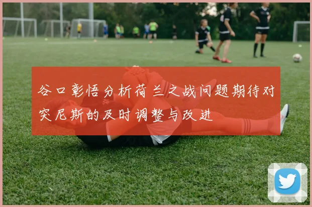 谷口彰悟分析荷兰之战问题期待对突尼斯的及时调整与改进